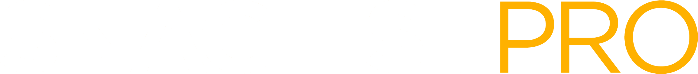 snag list pro logo long
